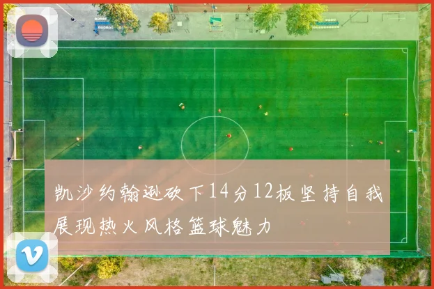 凯沙约翰逊砍下14分12板坚持自我展现热火风格篮球魅力