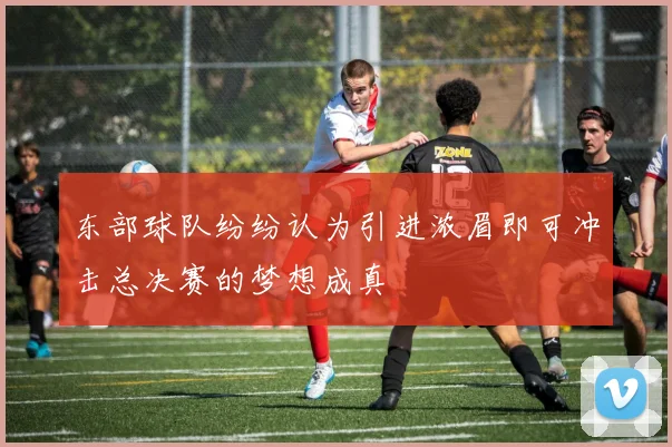东部球队纷纷认为引进浓眉即可冲击总决赛的梦想成真