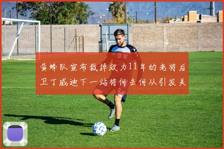 黄蜂队宣布裁掉效力11年的老将后卫丁威迪下一站将何去何从引发关注