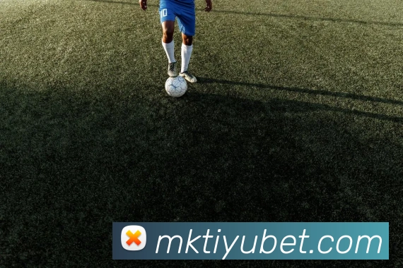 MK体育服务体系